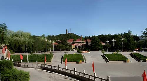 xbp4918.jpg