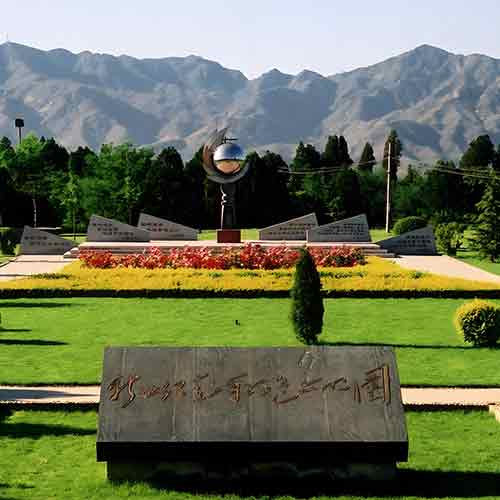 1763359462737048.jpg 91f96310-f71e-4558-a025-2ac1f9b35068.jpg