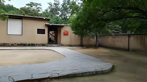 红色物业赋能基层治理 西柏坡模式筑就幸福家园