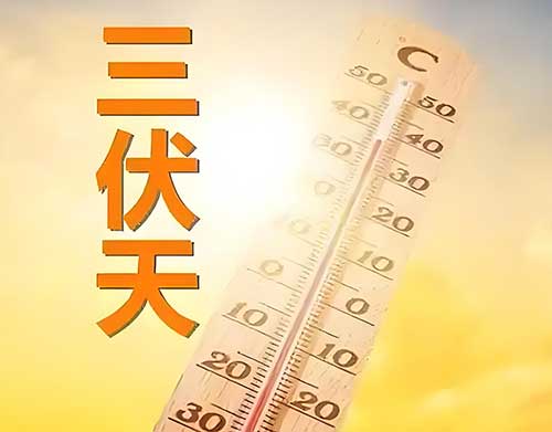 30天三伏罕见现身!10年一遇的酷暑密码