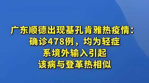 广东顺德478例基孔肯雅热：防控关键期来临