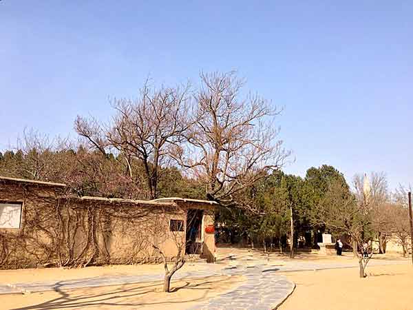 揭秘群众路线力量：30名村支书西柏坡学习如何激活民族振兴