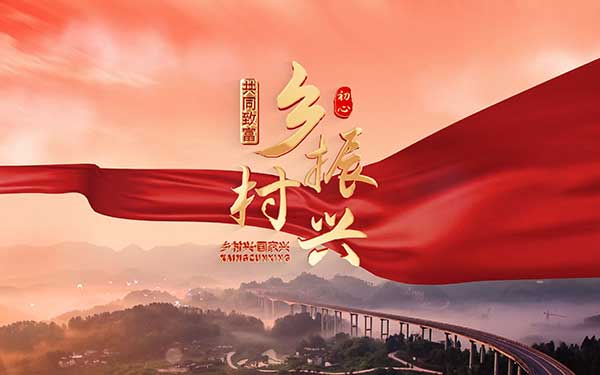 乡村振兴战略新蓝图,20大政策如何重塑中国乡村未来