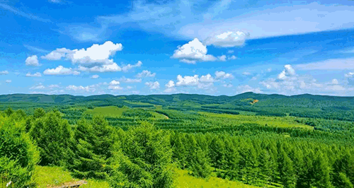 中小企业AI转型全指南：零门槛布局的3个核心路径