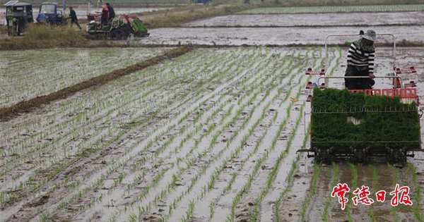 2026科技春耕赋能春日经济 智慧农业激活乡村新动能