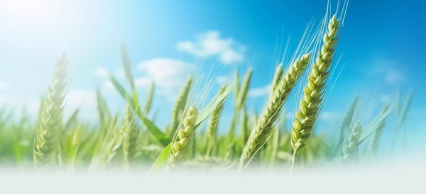 用人工智能筑牢农业底线 202