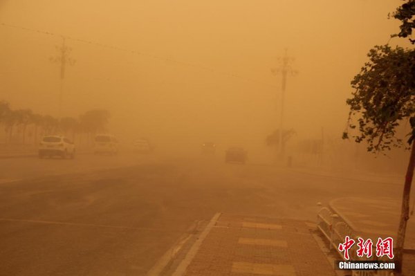 沙尘暴下的坚守！2026生态干部培训汲取西柏坡精神力量