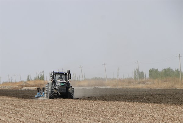谷雨春耕抢农时 2026干部培训为何要西柏坡式深耕