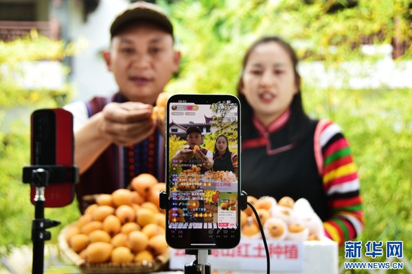 青年党员弃1.6万月薪返乡放羊