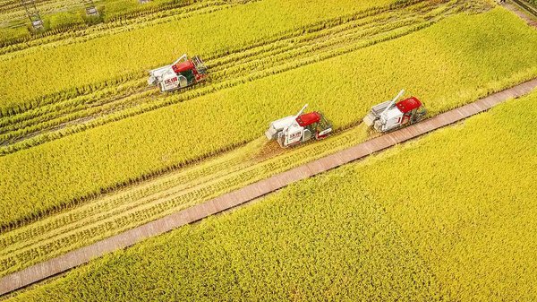 农业农村经济迎三利好 2026