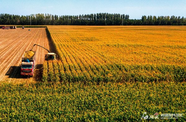 2026三农发展迎三‘好’ 红