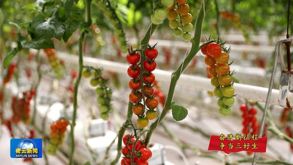 农业‘三好’再升级 2026智能技术解锁农村经济增长新密码