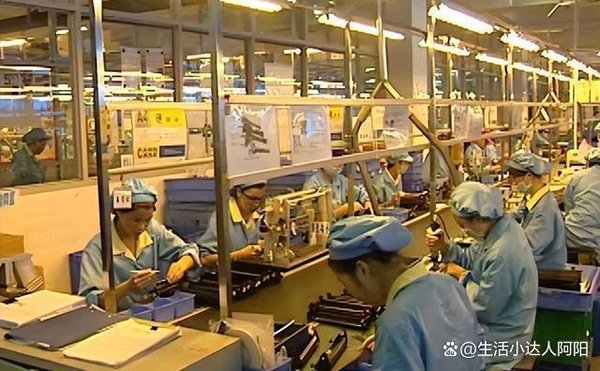 智能裁员引热议，石家庄2026红色培训必抓数字治理人才