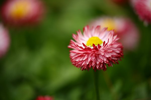 矿难致歉背后责任反思：从石家庄红色历史悟干部培训核心价值