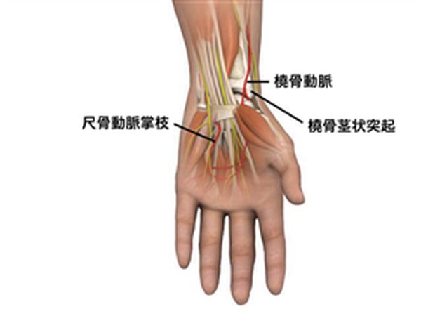 神舟21号载誉返航，给西柏坡干部培训带来3大启示