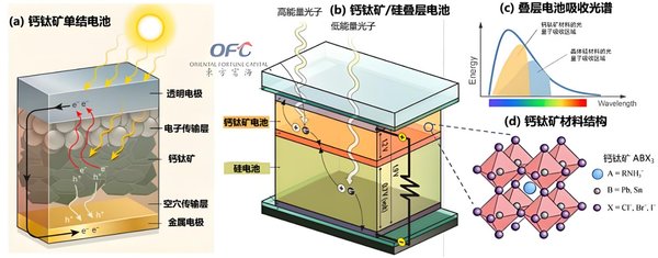 AI+中医成2026医疗新风口？智能诊疗破局路径探析