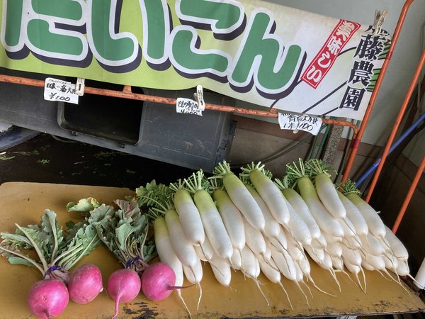对标教育强国 石家庄6招筑牢干部精神底座