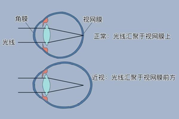 石家庄党建培训联动香港回归29周年 跨越77年初心铸魂