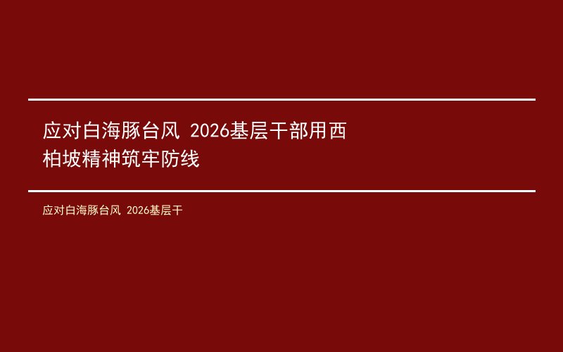 应对白海豚台风 2026基层干