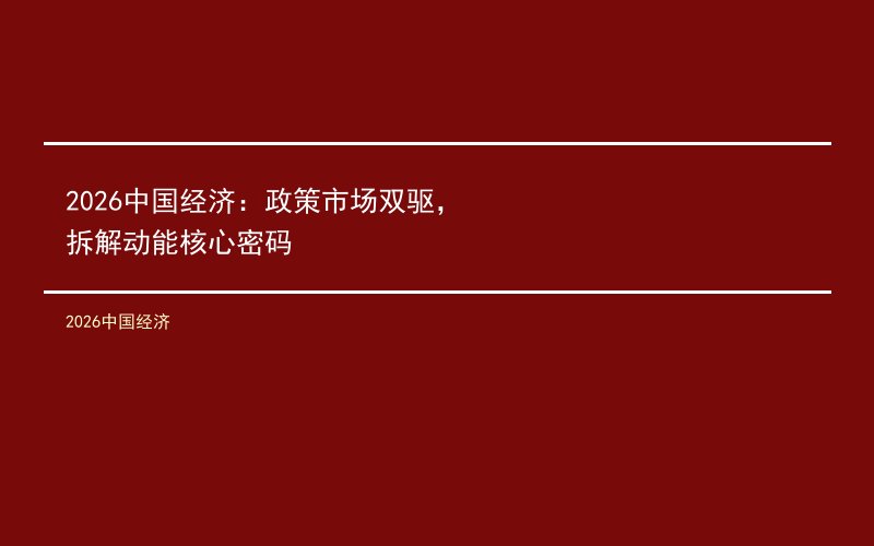 2026中国经济