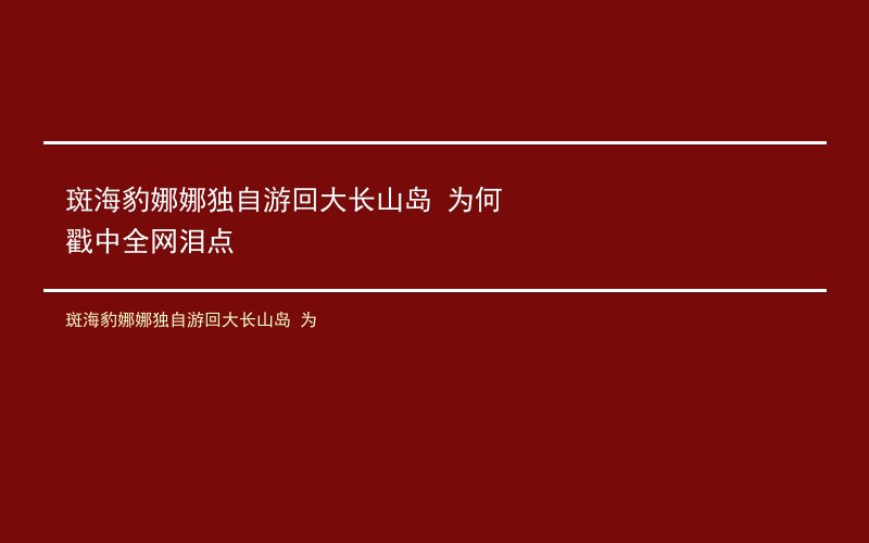 斑海豹娜娜独自游回大长山岛 为何戳中全网泪点